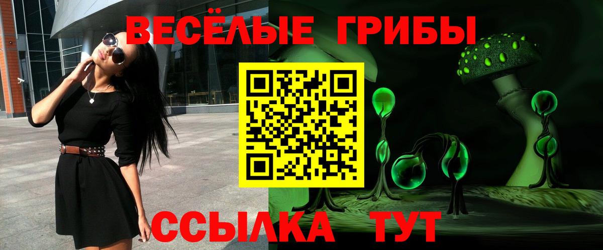 Codein  Гашиш  ГАШ  Канабис  МЕФ кристаллы  Бошки Шишки  Каменск-Шахтинский  Продажа наркотиков  Вход с VPN 